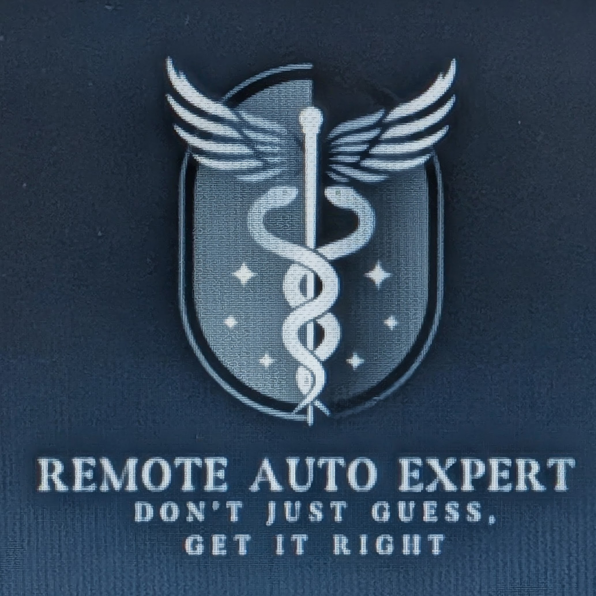 Remote Auto Expert logo