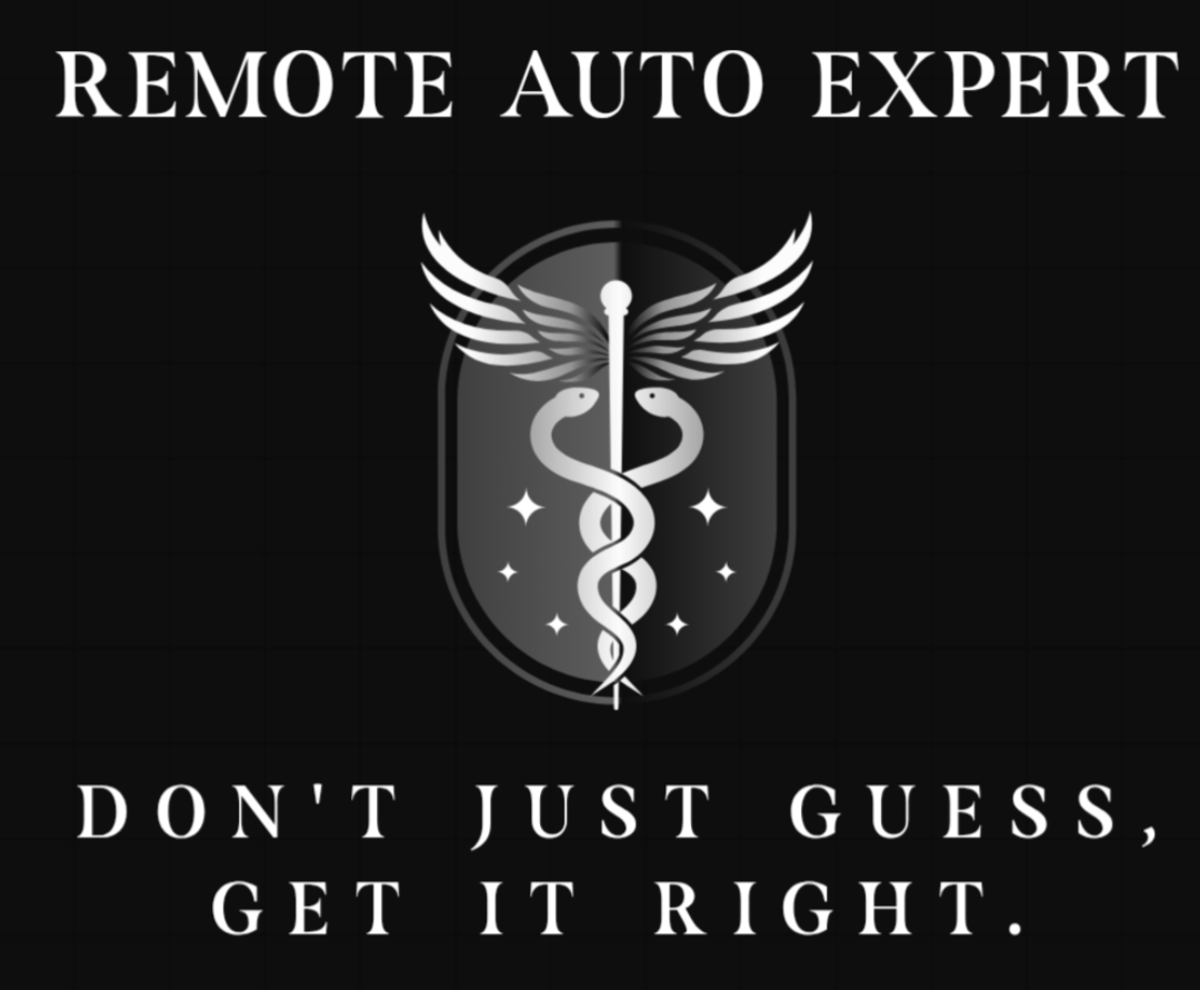 Remote Auto Expert logo